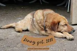 Lenny