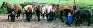 IMG-20151224-WA0003