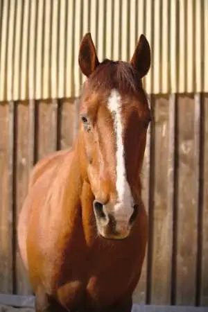 IMG-20190503-WA0015