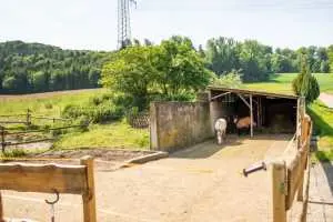 IMG-20190526-WA0018