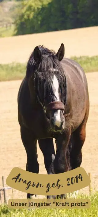 Aragon